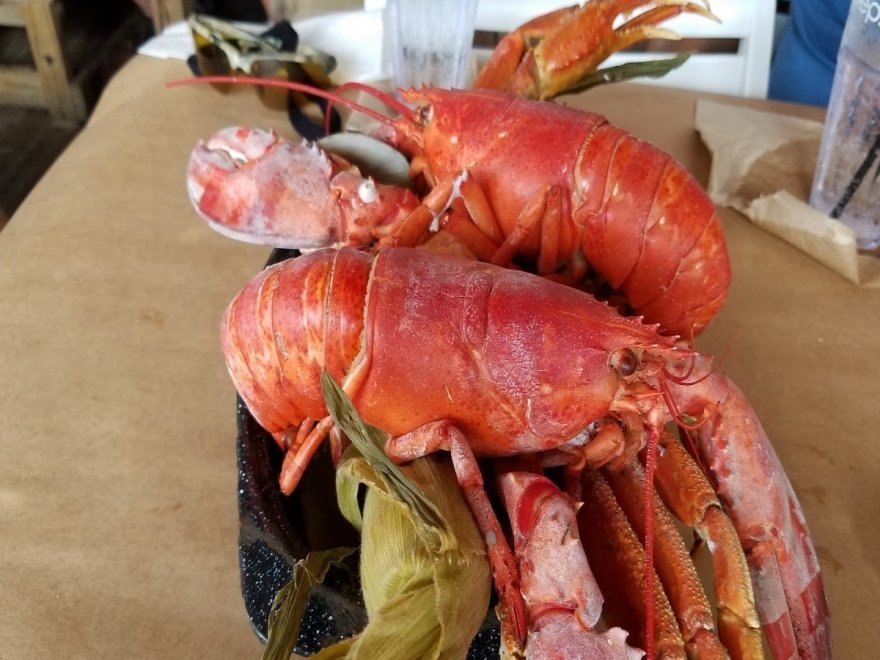 Hooper's Crab House