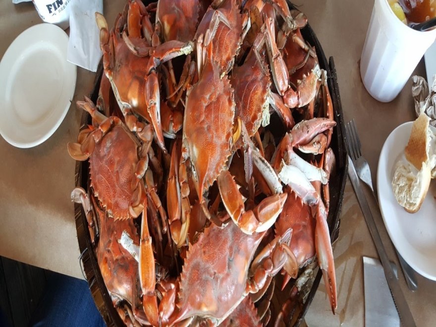 Hooper's Crab House