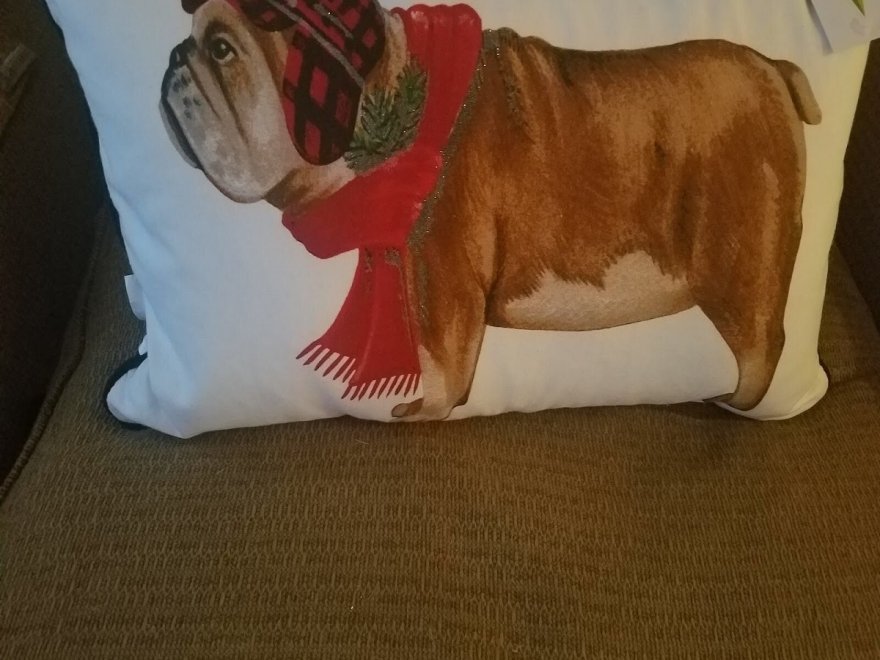 Doggie Style K9 Cafe