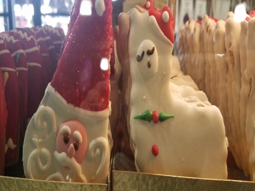 Doggie Style K9 Cafe