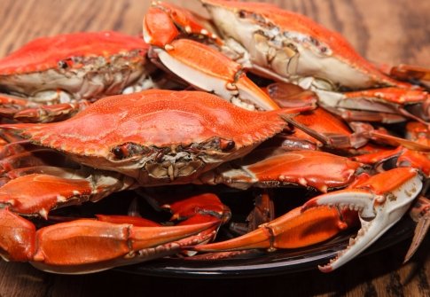 Tide to Table: Maryland’s Coast Oyster & Crab Trail